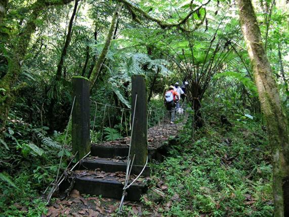Hostal De La Montana Ecoturismo Mocoa 외부 사진